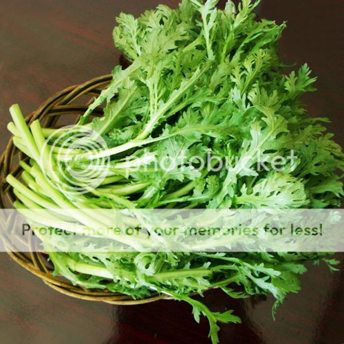 100 Crown Daisy Seeds Crowndaisy chrysanthemum Organic Vegetables eBay